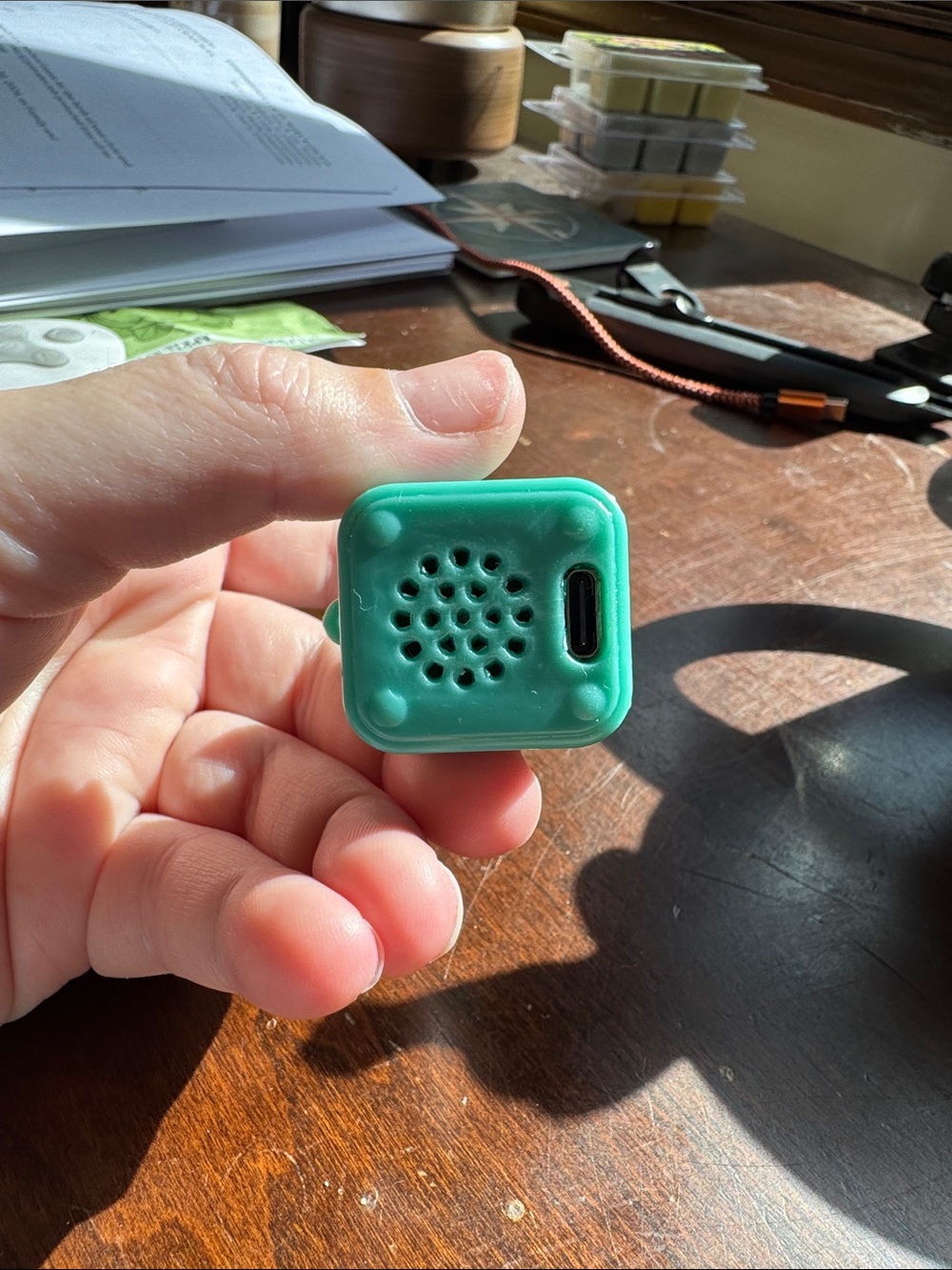 “Hoppers” Lizard button - Picture 5 of 5